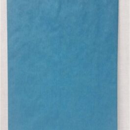 Paper Gift Bag Turquoise